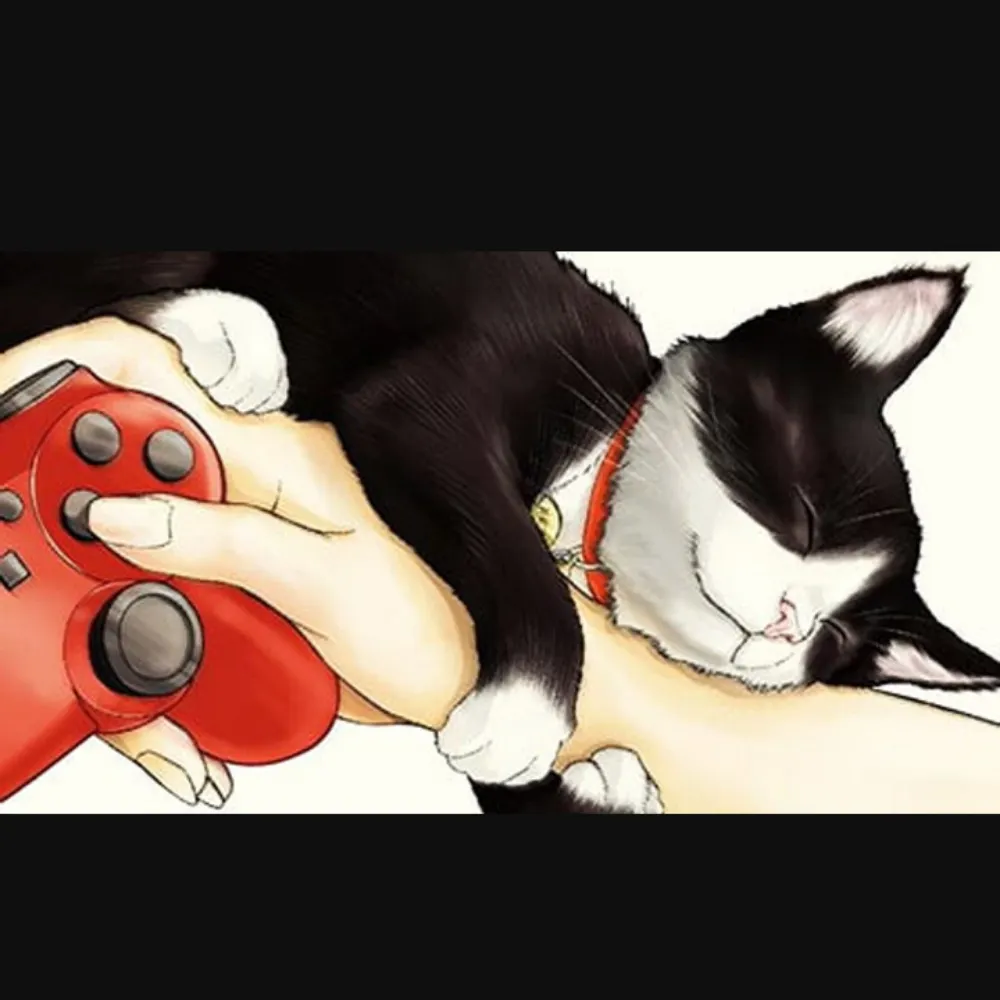 bcooper82.bsky.social's profile picture