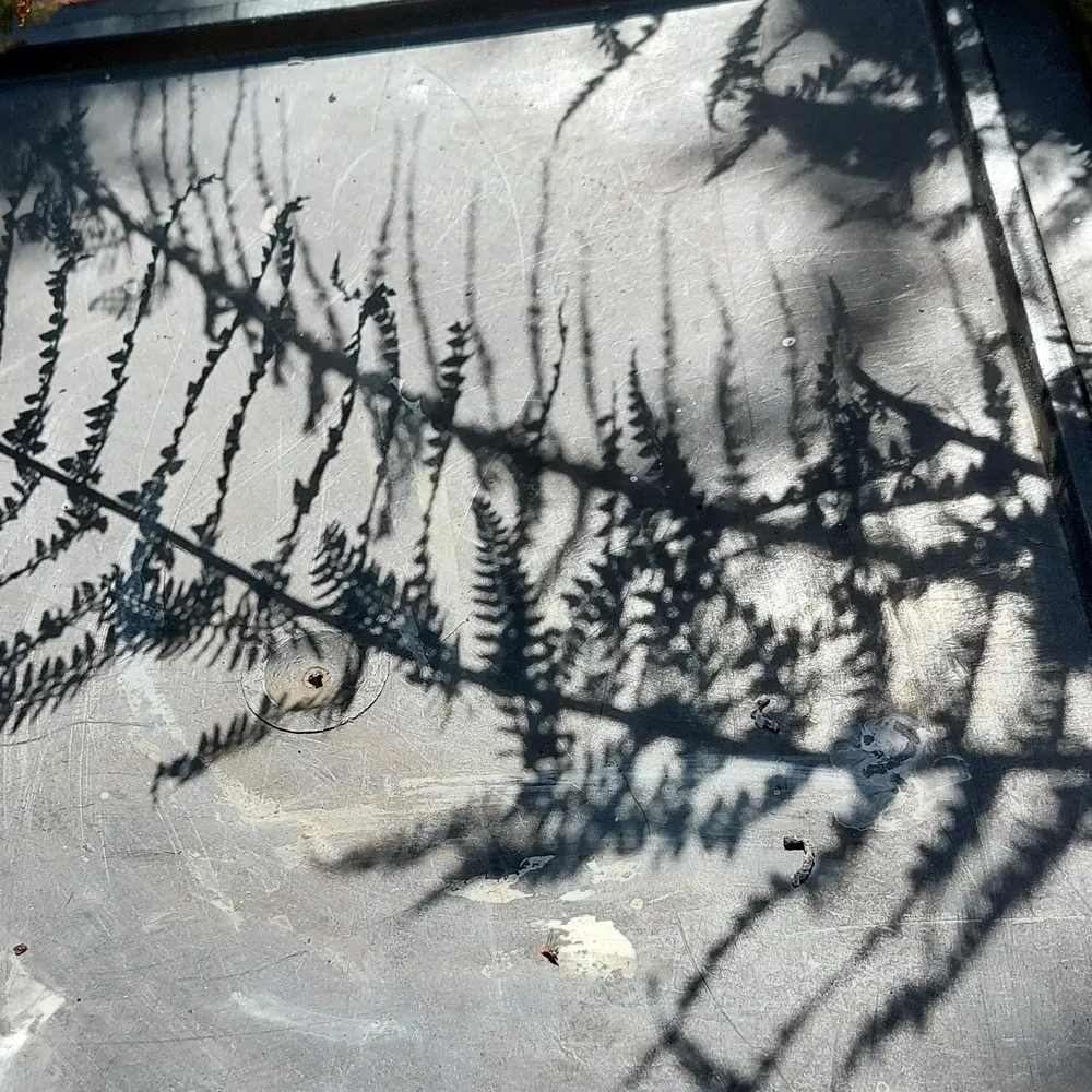 12qp.bsky.social's profile picture