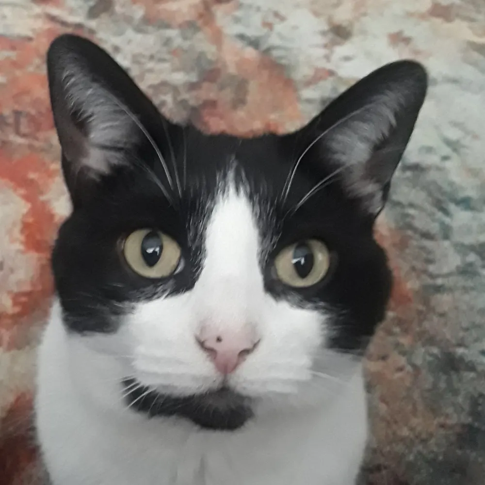 octoberbelle57.bsky.social's profile picture