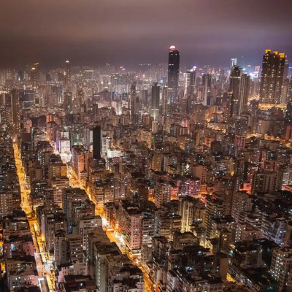 ninedragons.bsky.social's profile picture