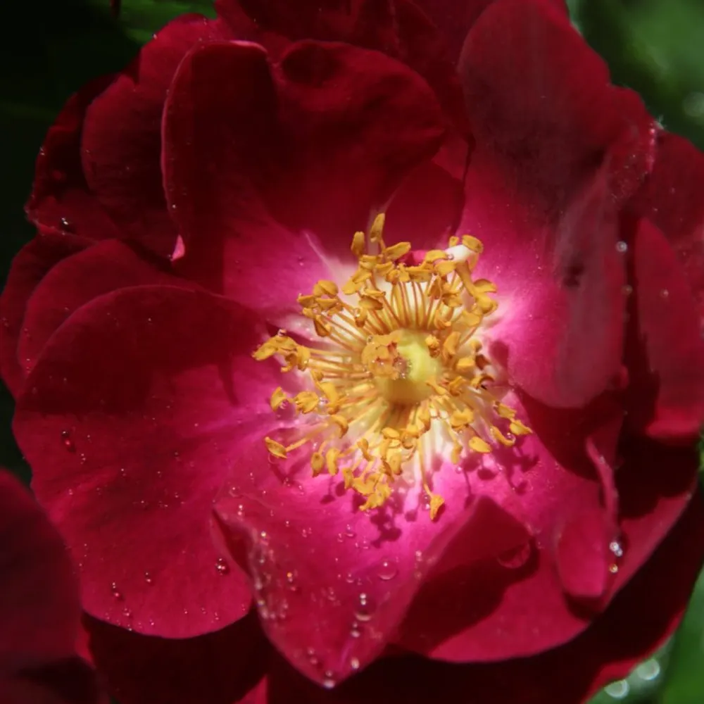 bejeweledjd.bsky.social's profile picture