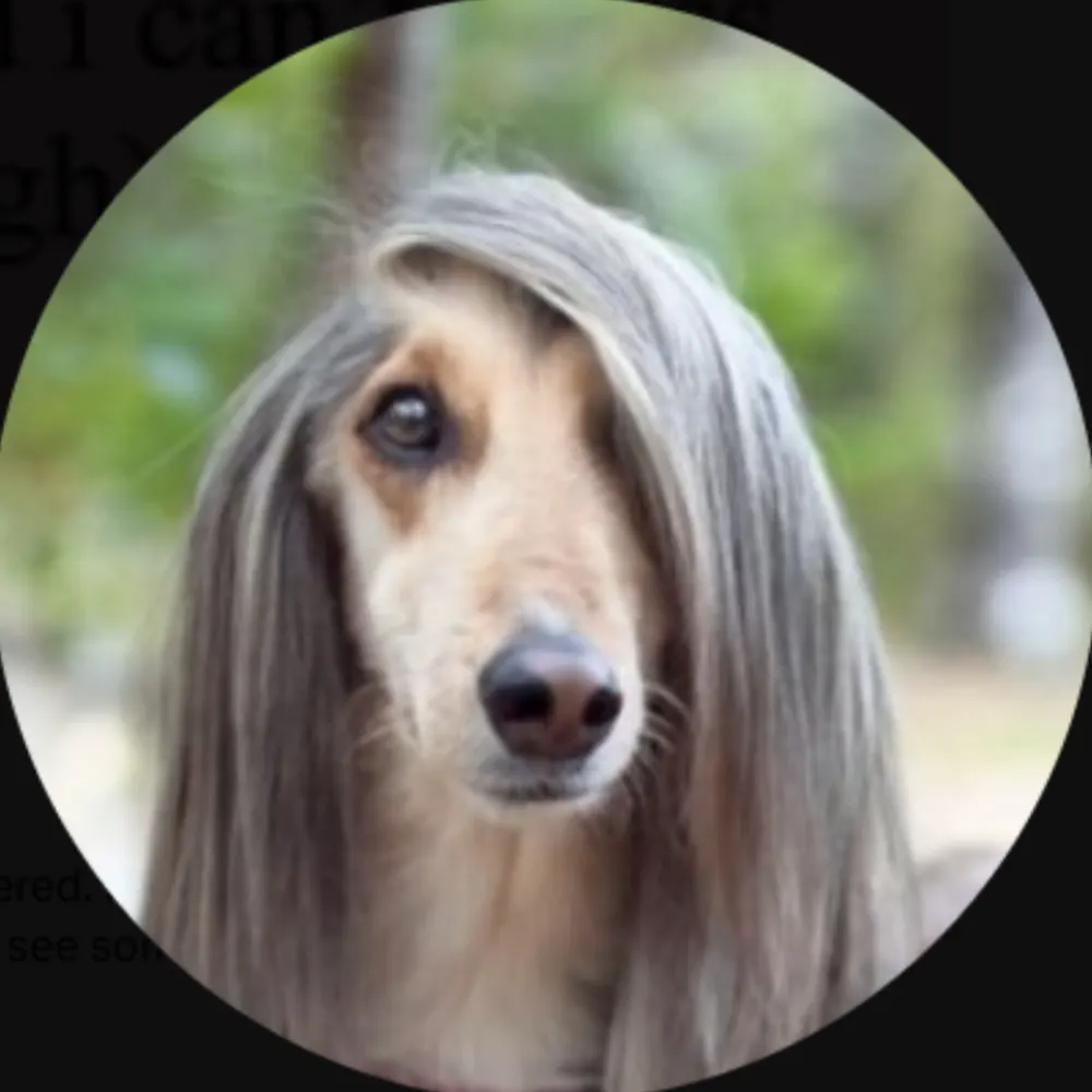 born2bemild.bsky.social's profile picture