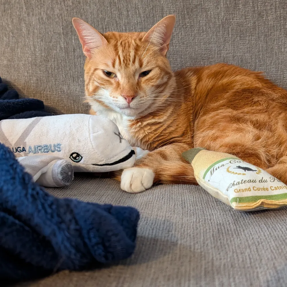 tarragonvinegar.bsky.social's profile picture