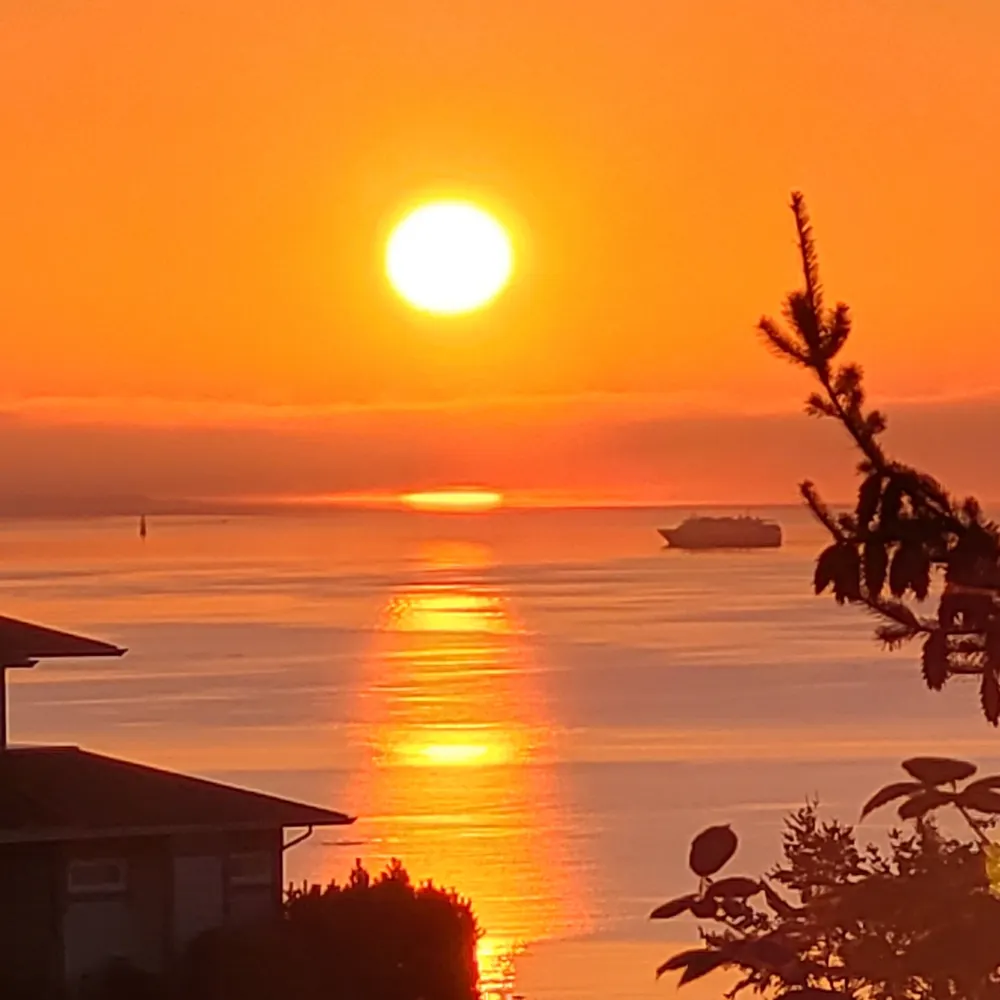 louisek2.bsky.social's profile picture