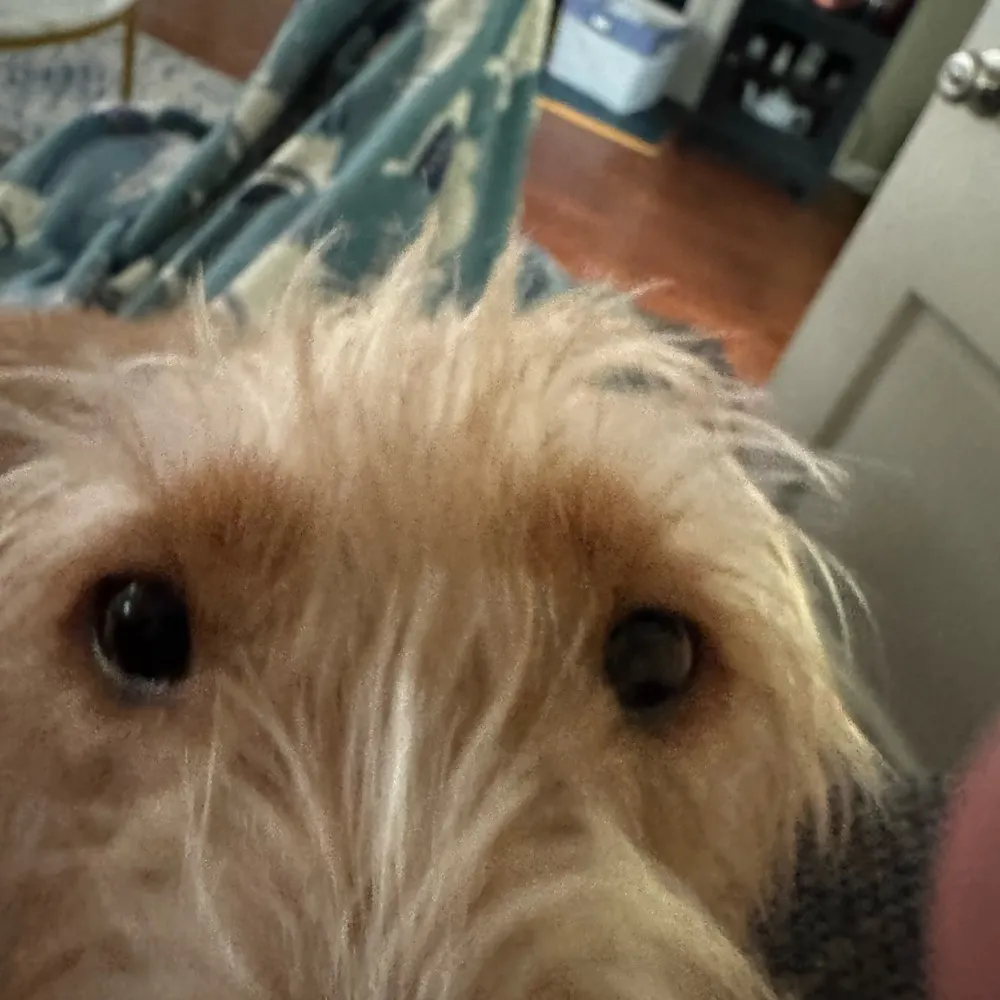 waltdog74.bsky.social's profile picture