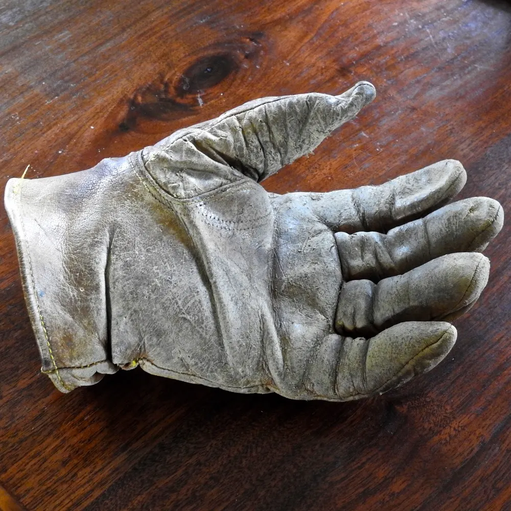 pooterheadpharms.bsky.social's profile picture