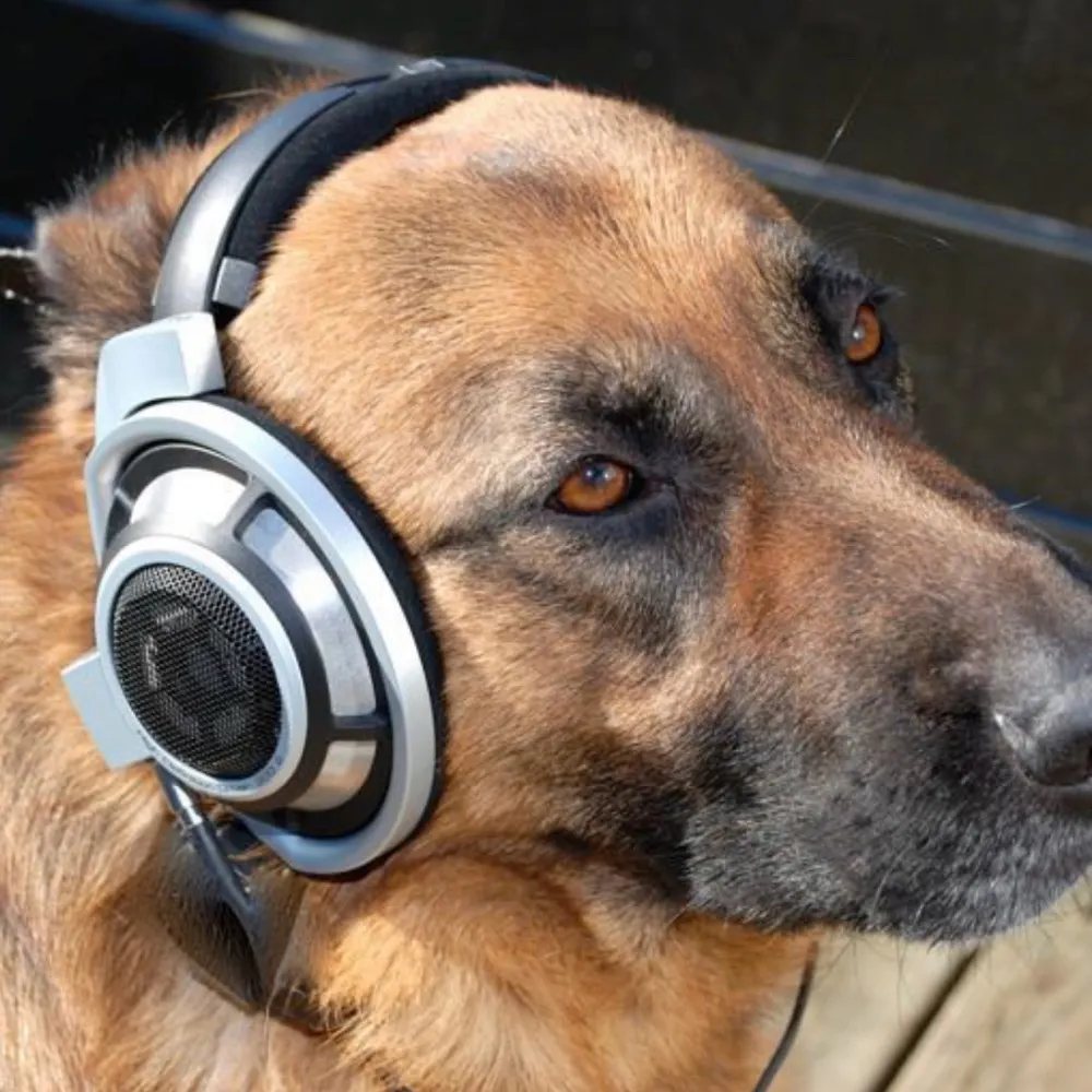 mrrevron.bsky.social's profile picture