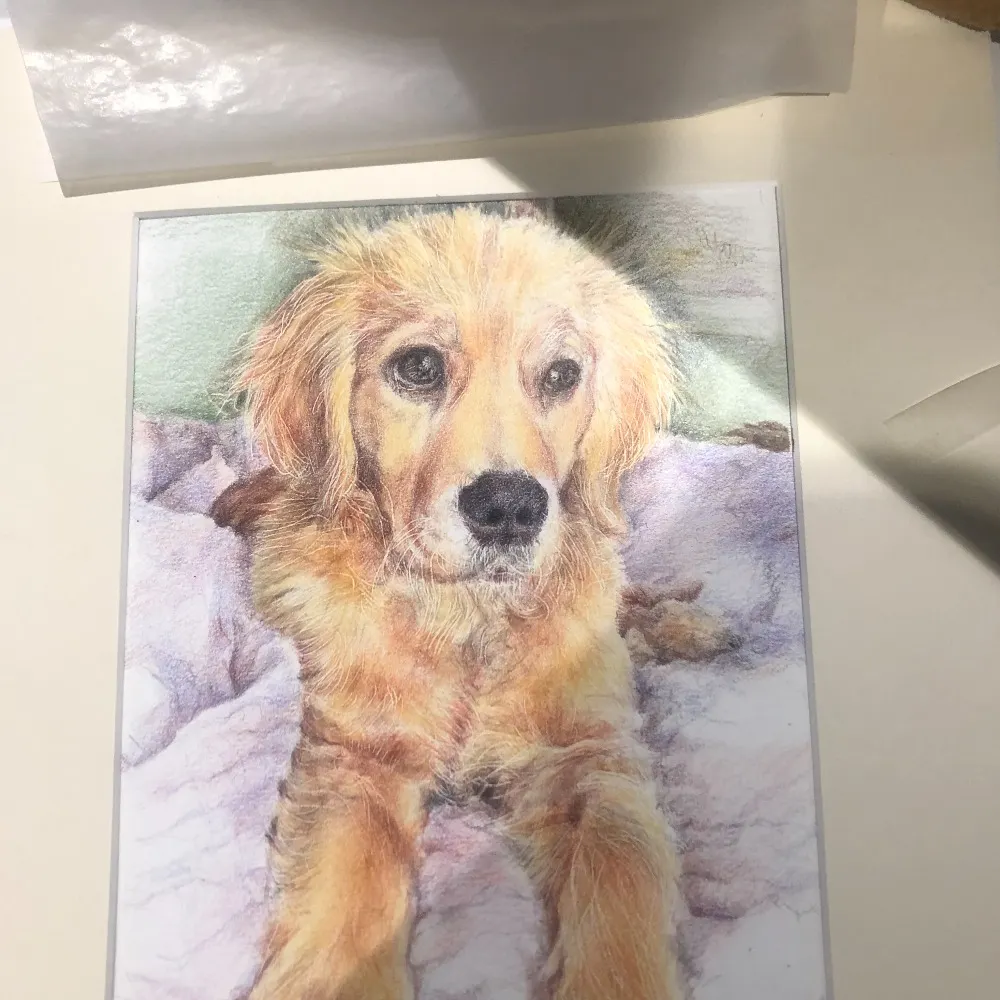 bartleby6316.bsky.social's profile picture