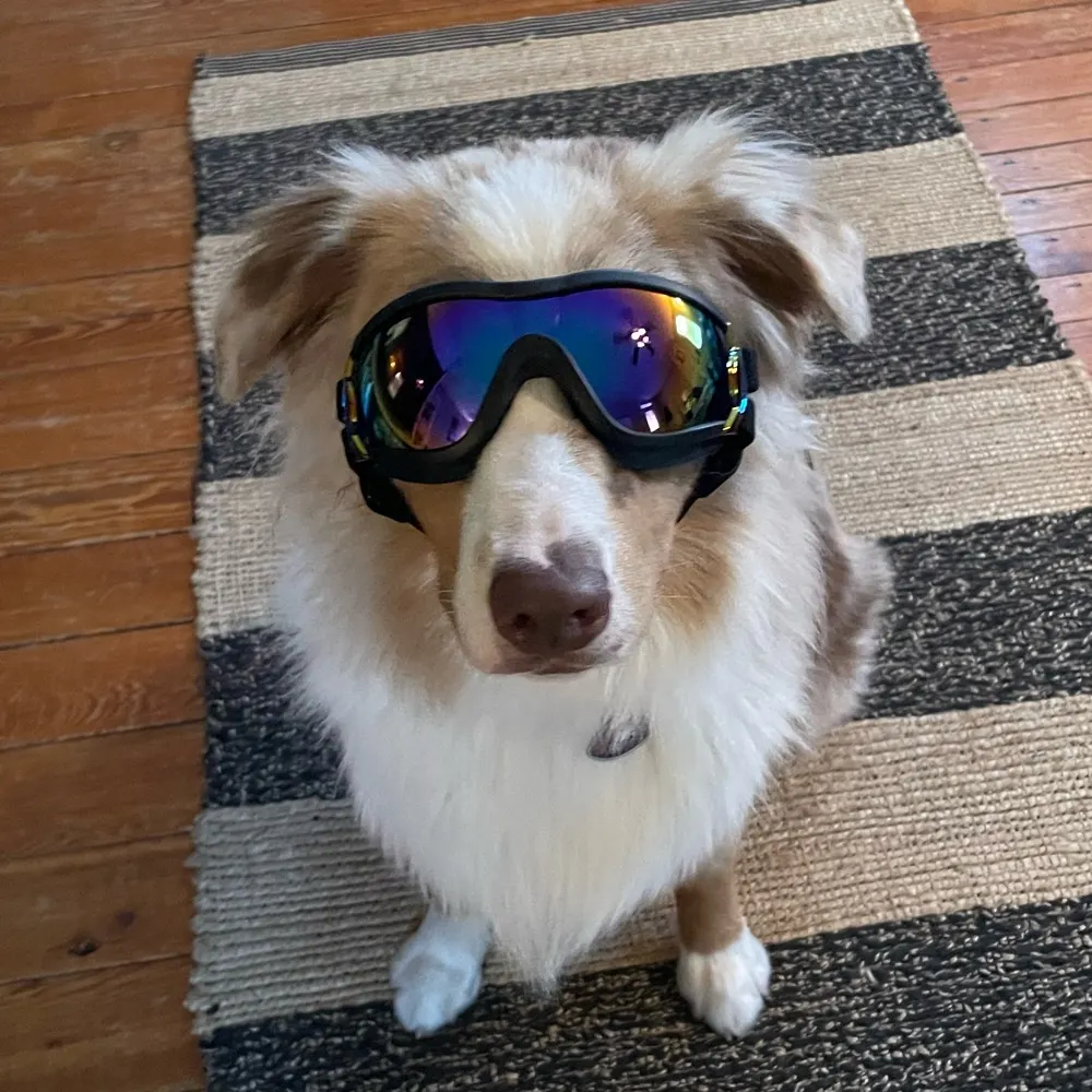 collapsemanager.bsky.social's profile picture