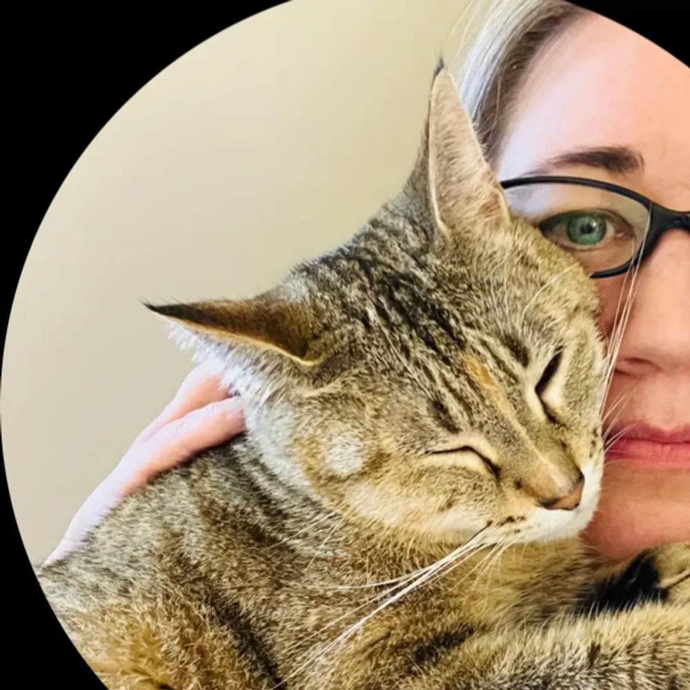 leafsjays613.bsky.social's profile picture