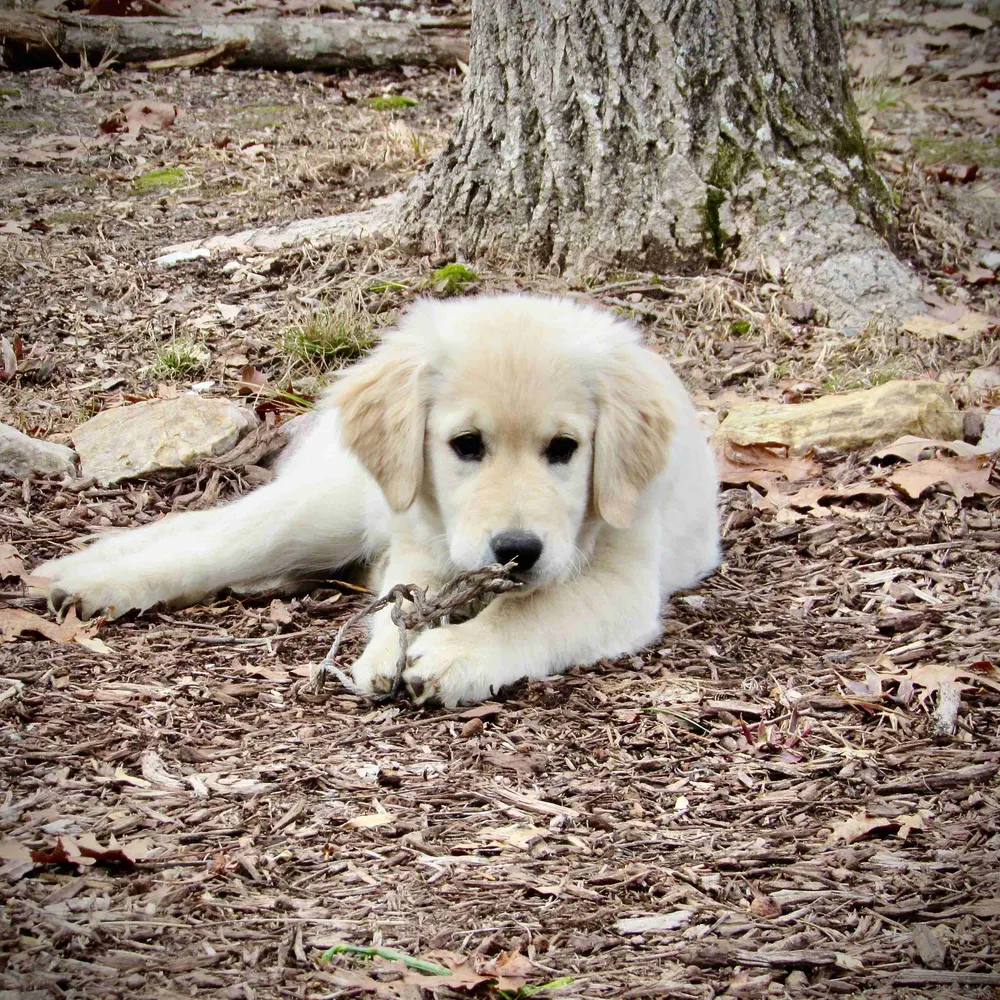 drdemocracy.bsky.social's profile picture