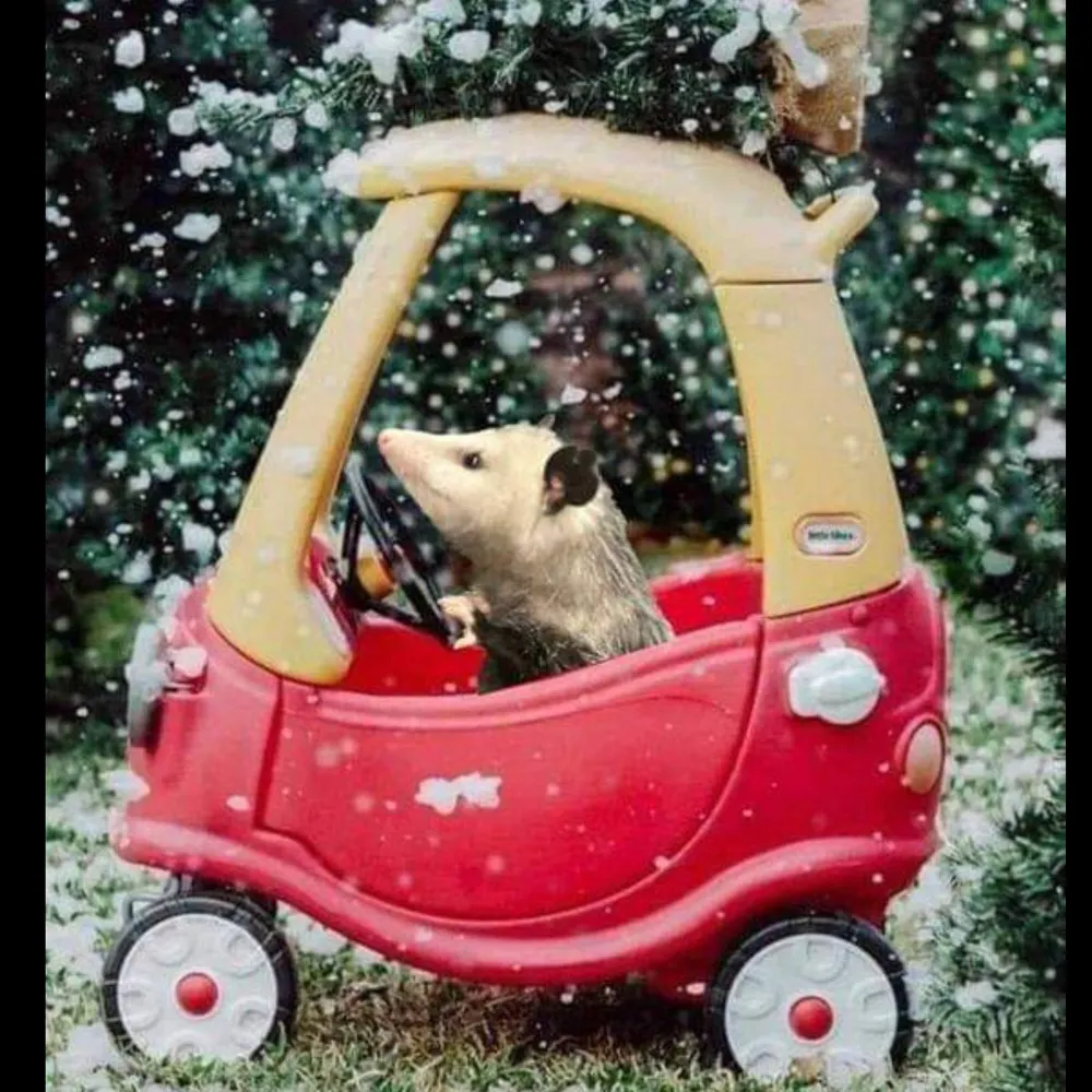 elliotghoul.bsky.social's profile picture