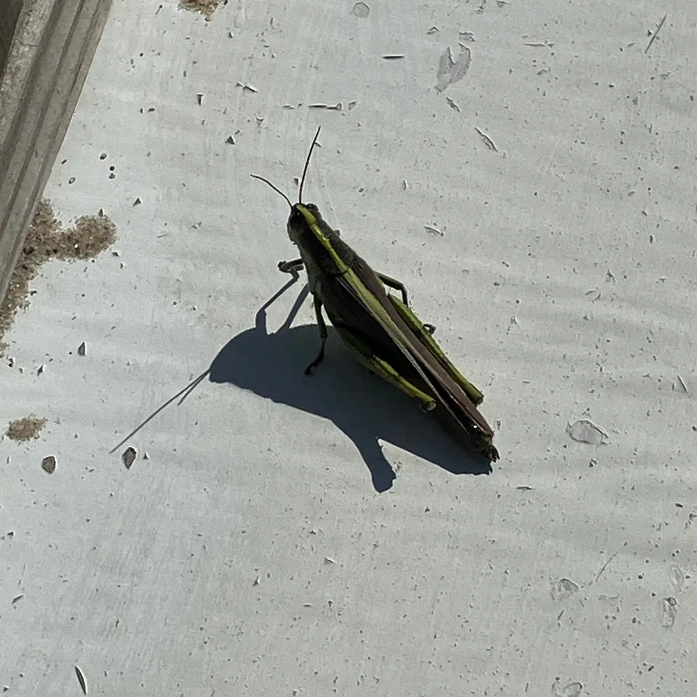 mom2dabeach.bsky.social's profile picture