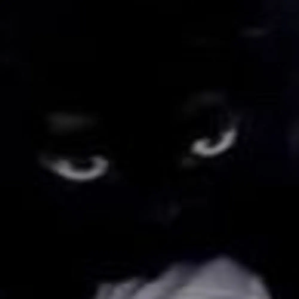 fkinplat.bsky.social's profile picture