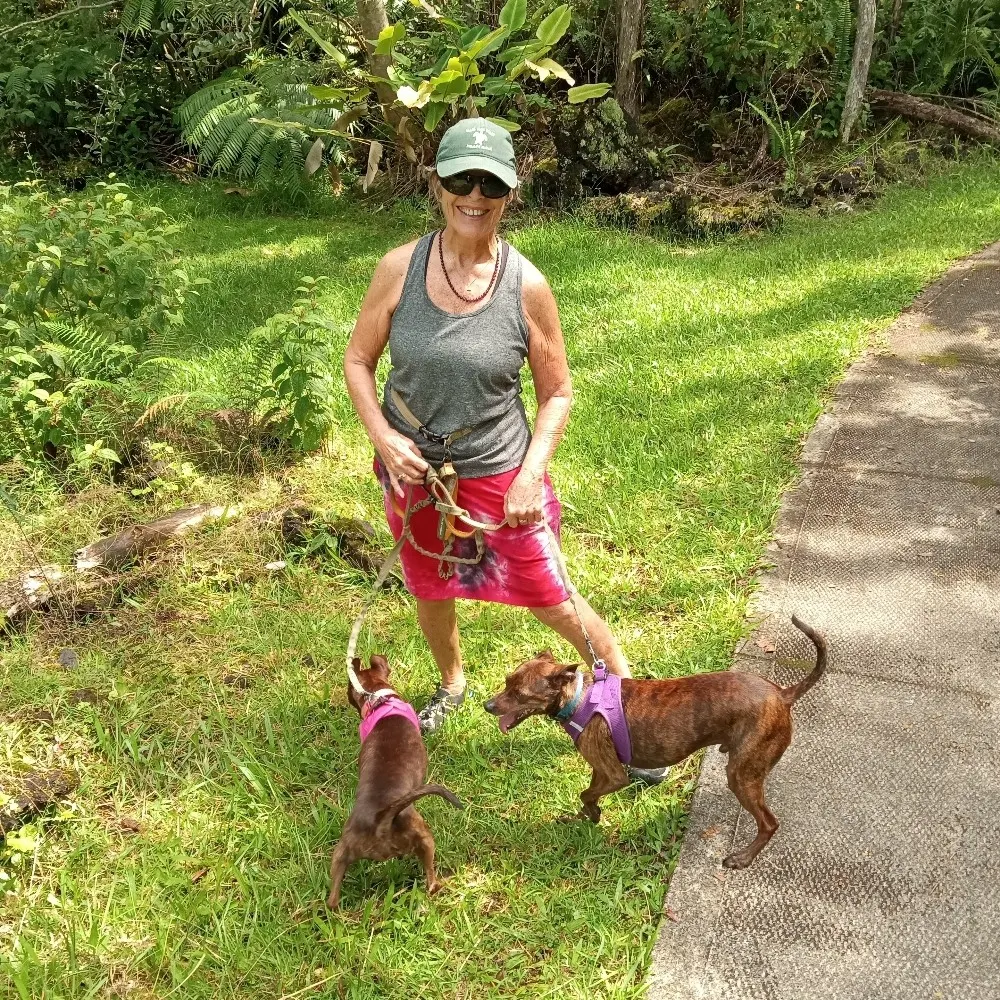 punalady.bsky.social's profile picture