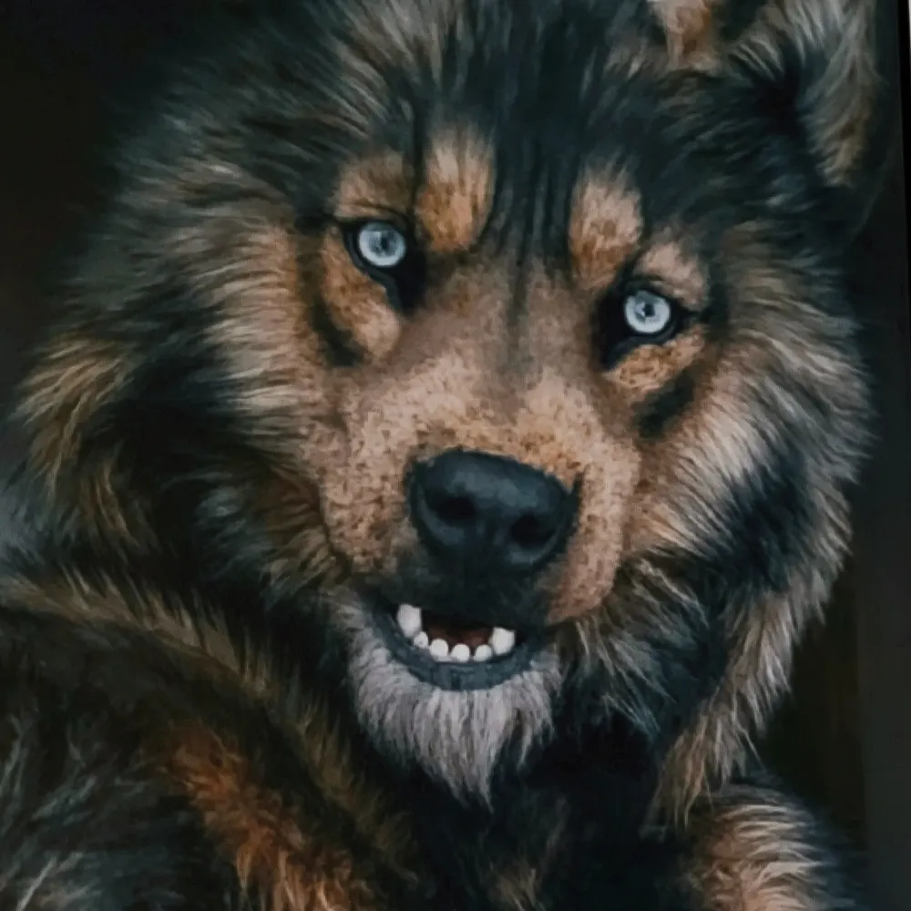 lobinez.bsky.social's profile picture