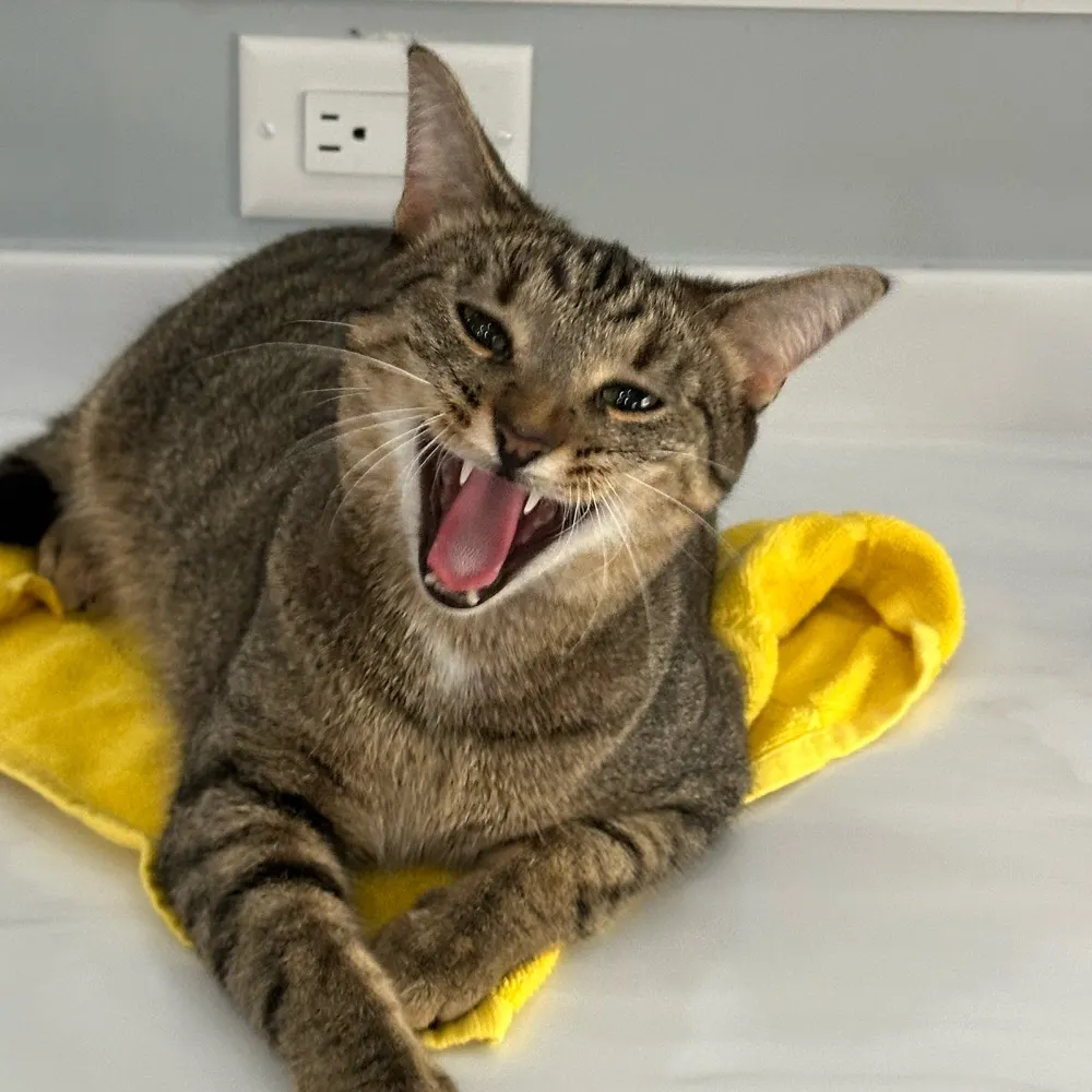 mikp17.bsky.social's profile picture