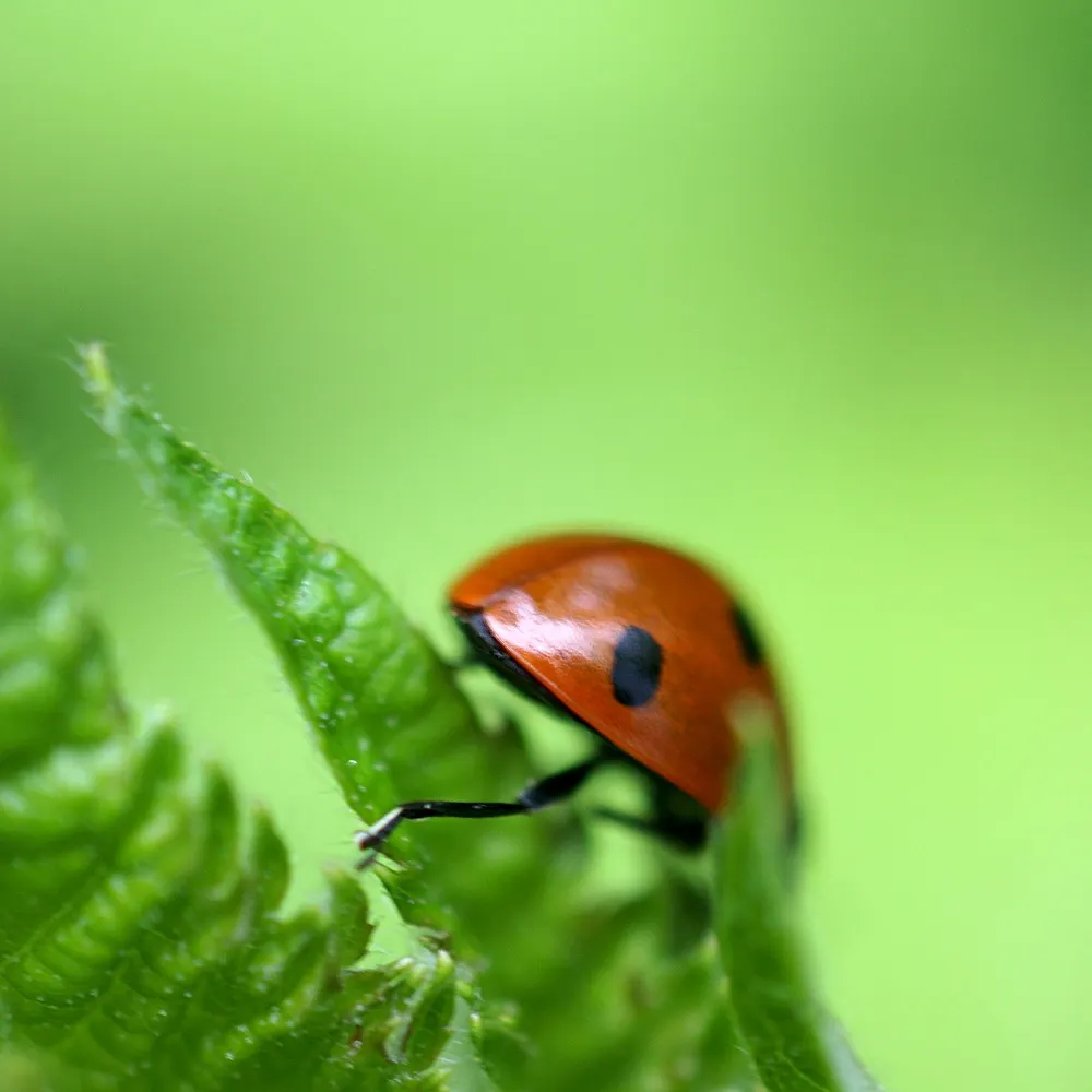 brx0.bsky.social's profile picture