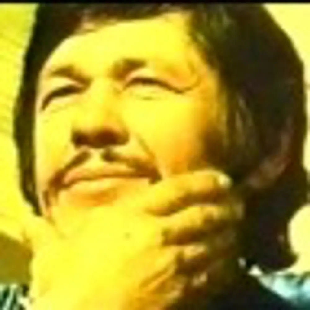 battlehork.bsky.social's profile picture