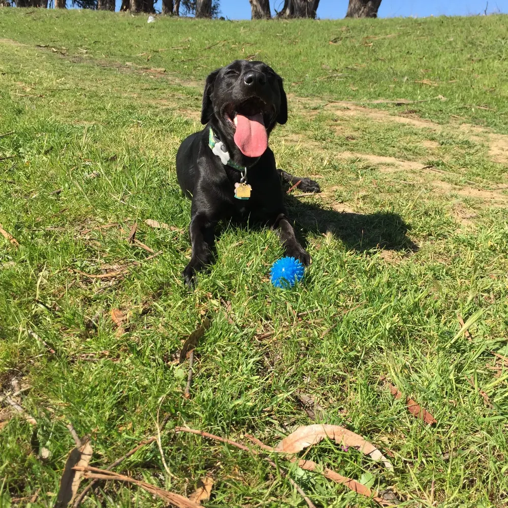 ebwr1ter.bsky.social's profile picture