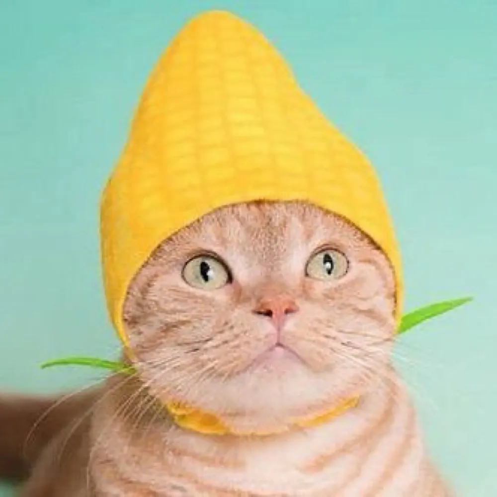 bedubble.bsky.social's profile picture