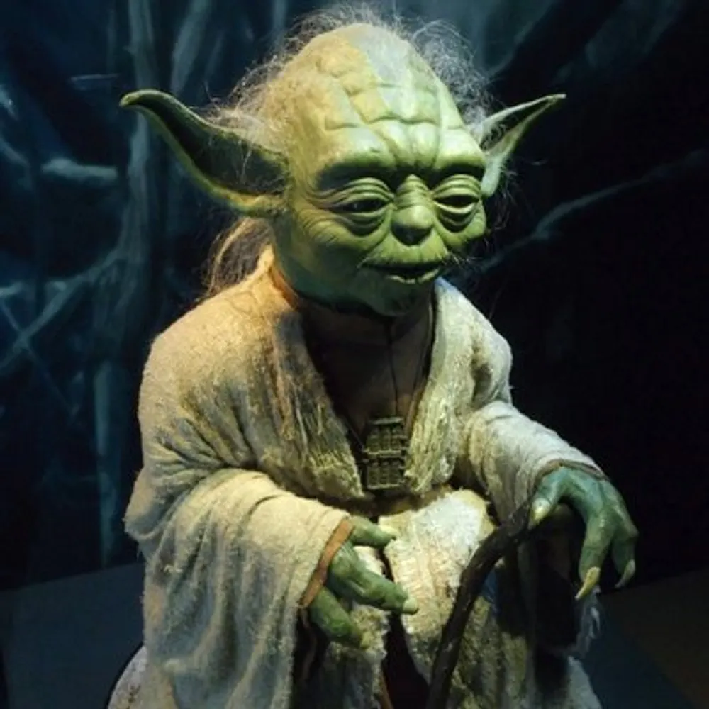 naiv.net's profile picture