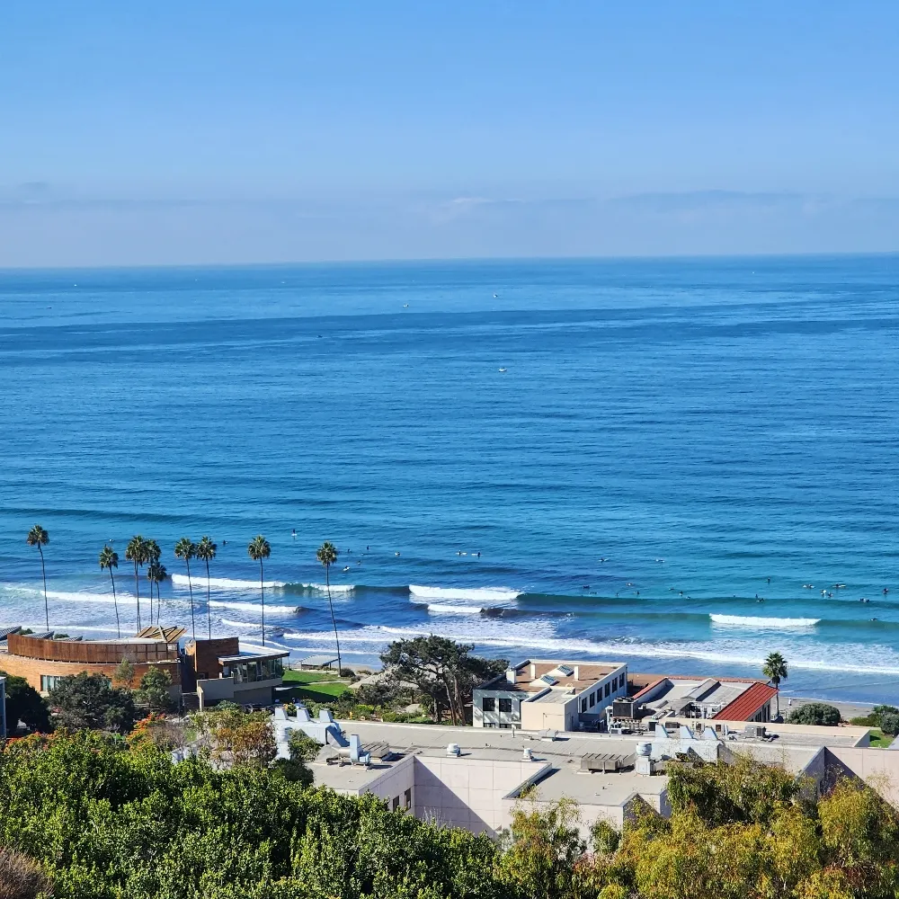 aphnid.bsky.social's profile picture