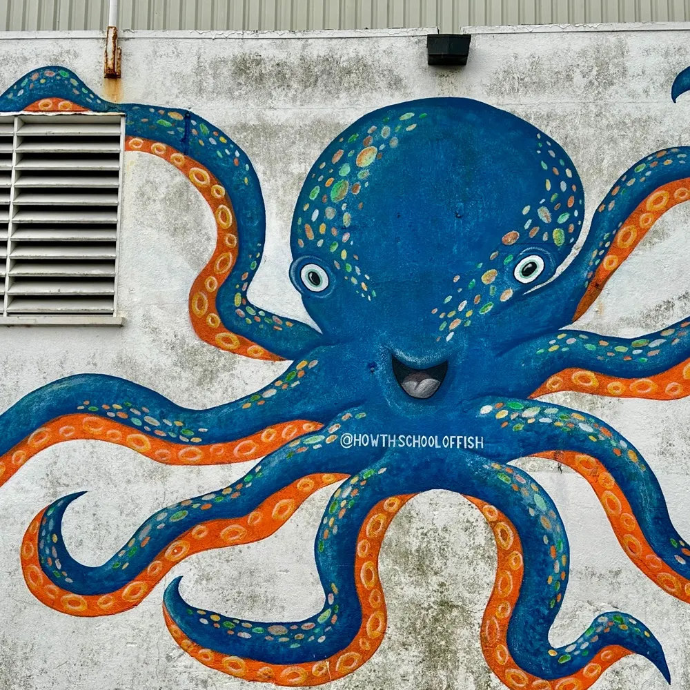 banisterkevin.bsky.social's profile picture