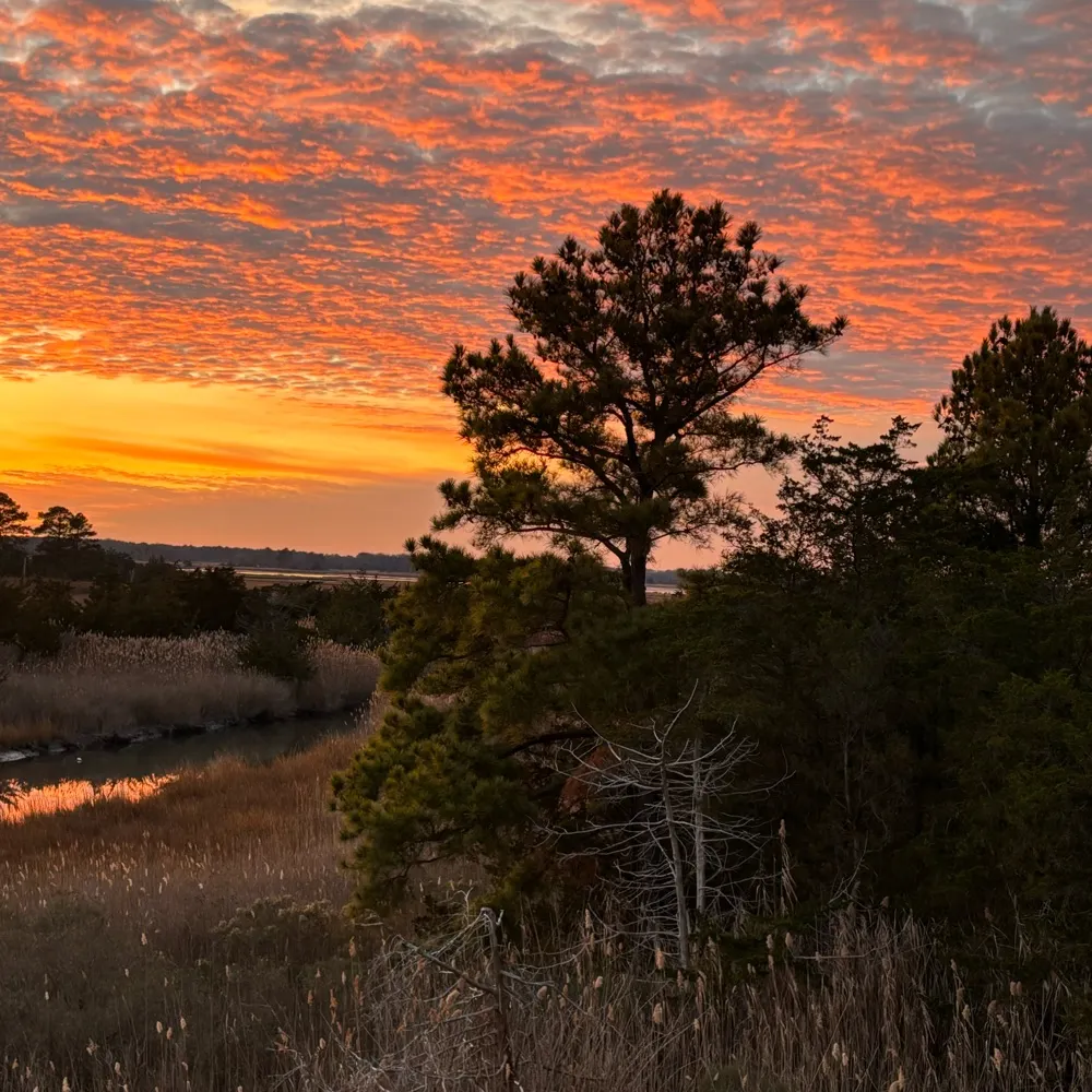 highindelaware.bsky.social's profile picture