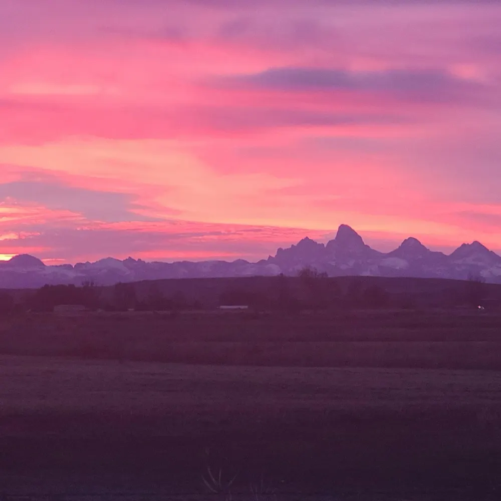 madisonfly.bsky.social's profile picture