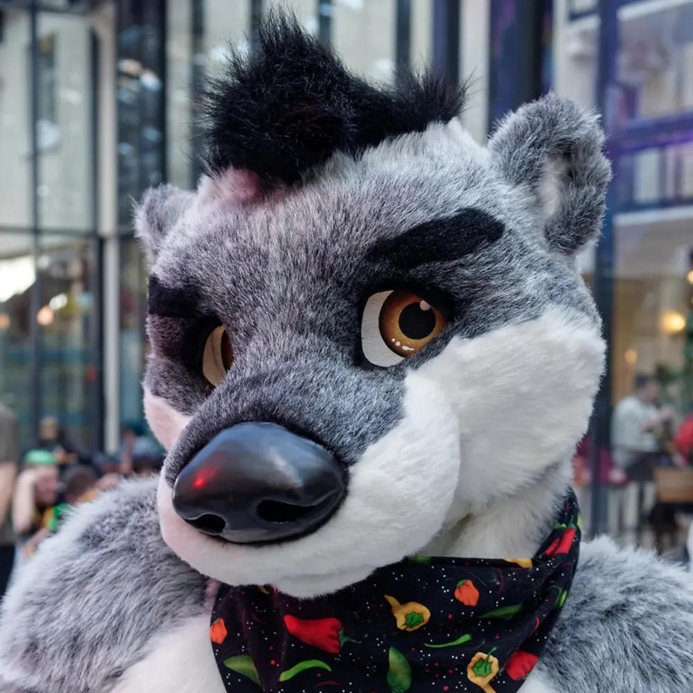 unootter.bsky.social's profile picture