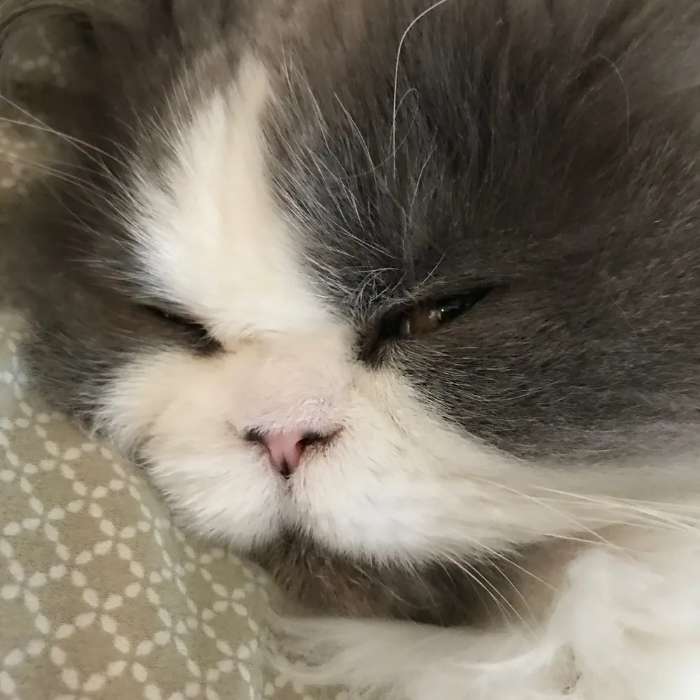 martinvotesblue.bsky.social's profile picture