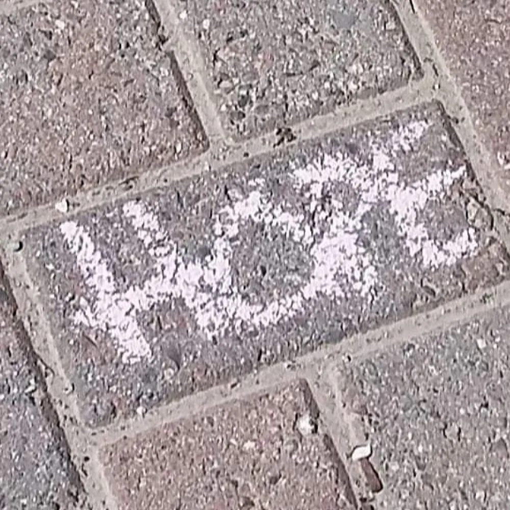 bluejay207.bsky.social's profile picture