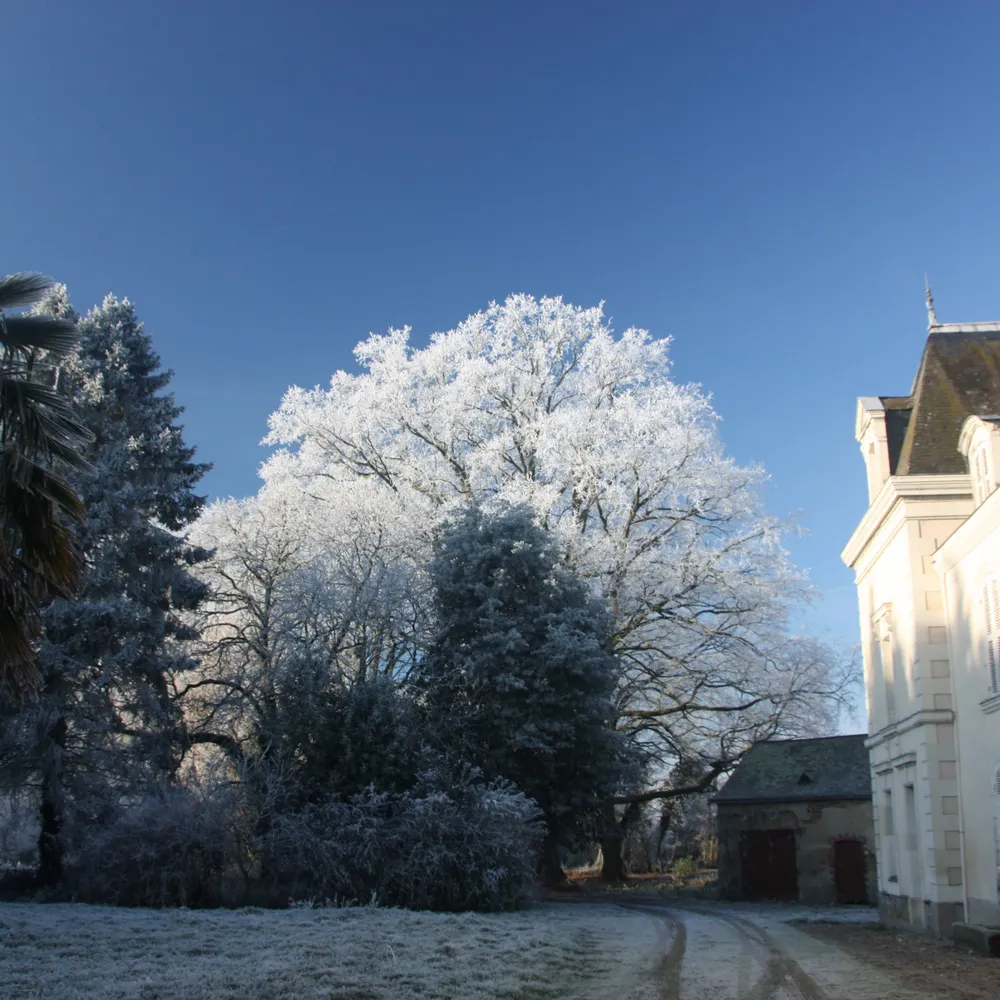 1greenmantle.bsky.social's profile picture