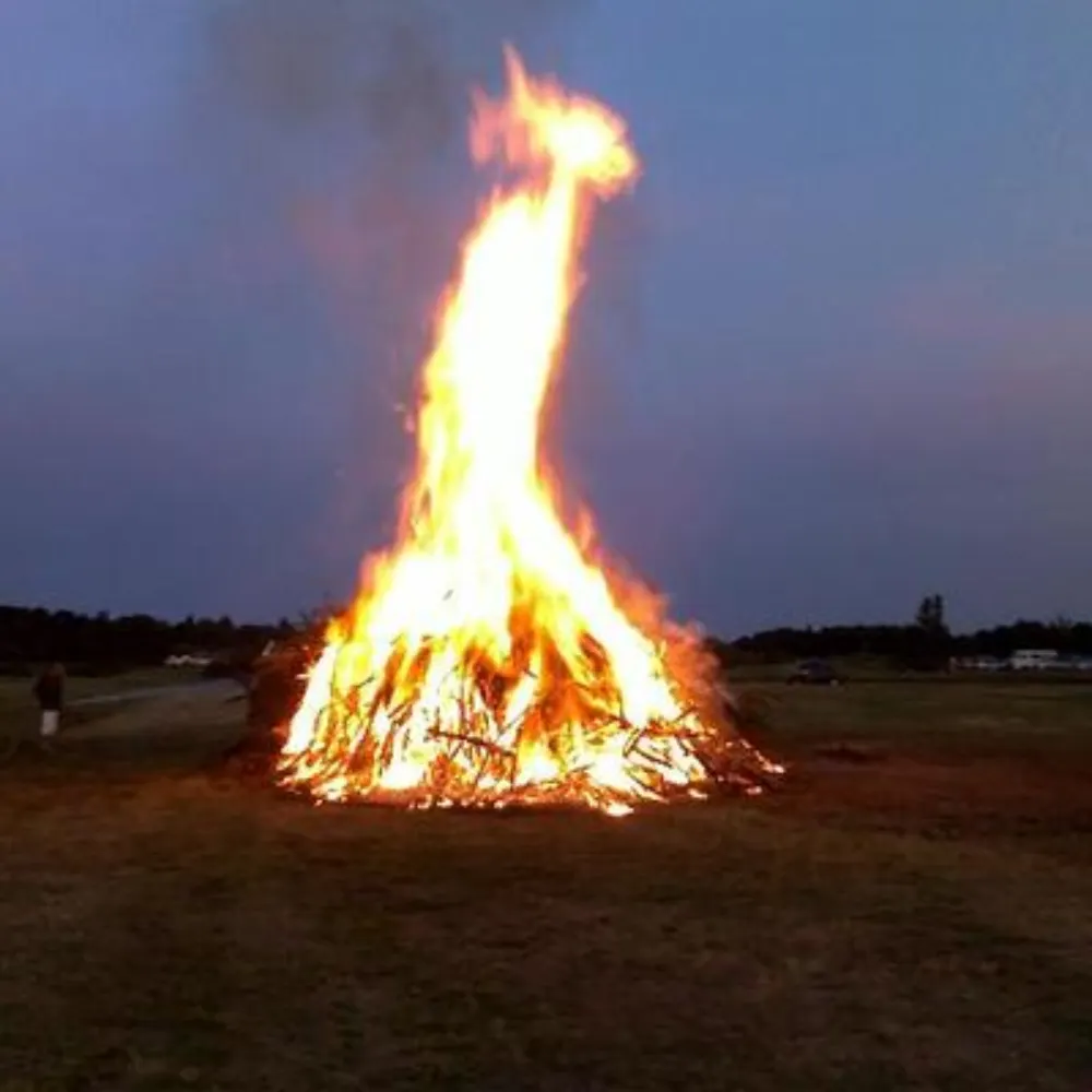 fawts.bsky.social's profile picture