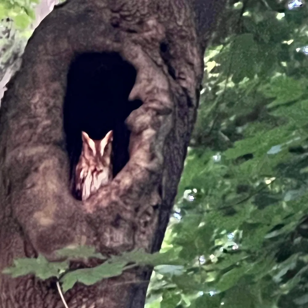 dontinnovate.bsky.social's profile picture