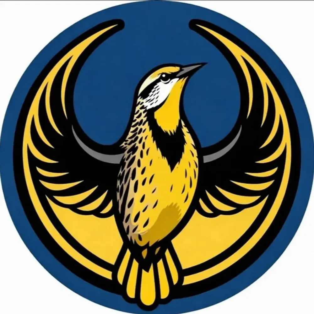 chinmusiclcsw.bsky.social's profile picture