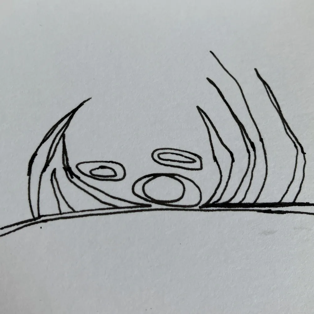 jannste.bsky.social's profile picture