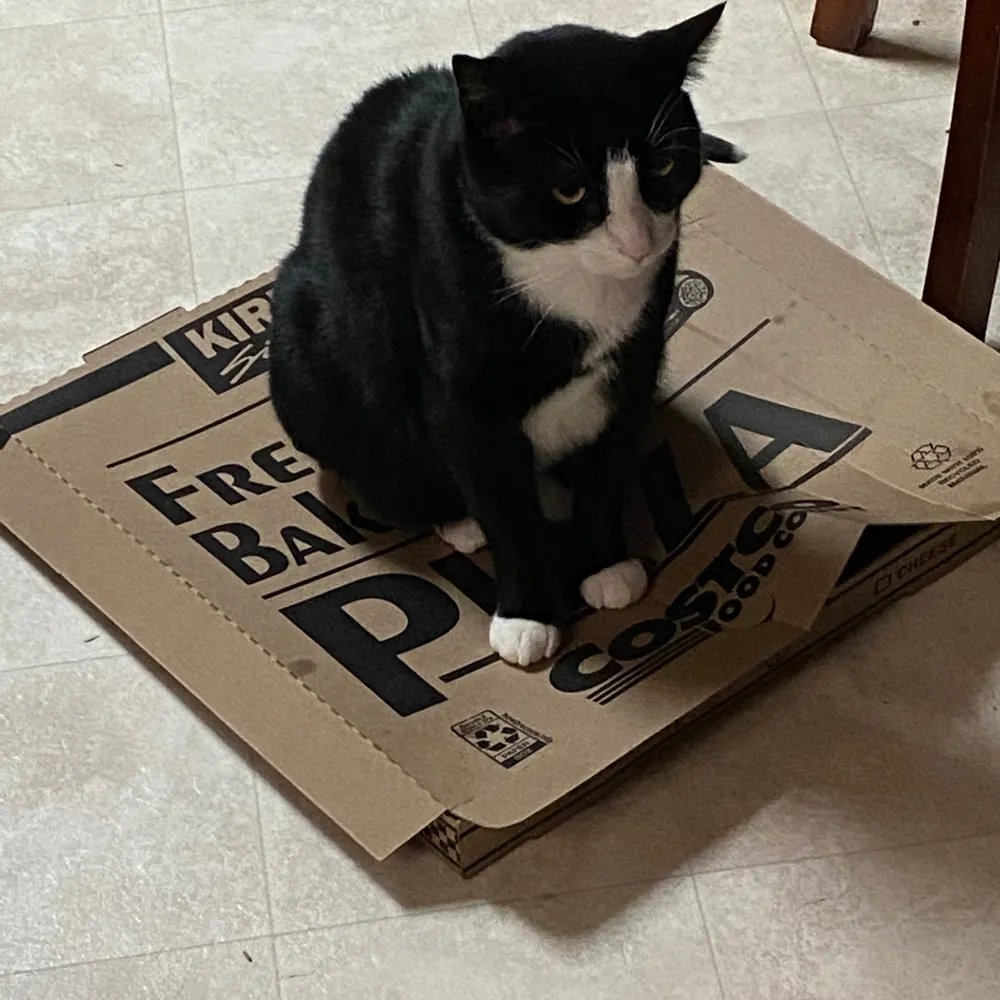 jpdink.bsky.social's profile picture