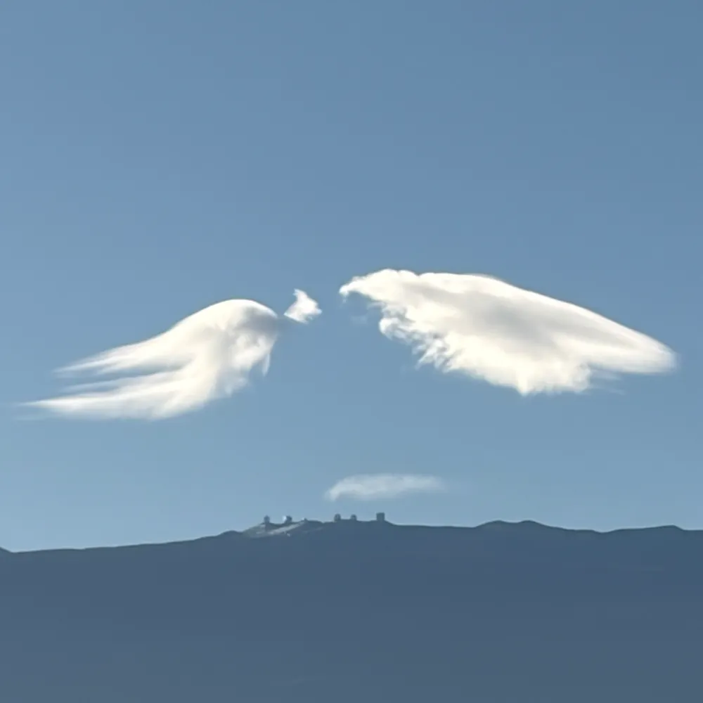 lbigisland.bsky.social's profile picture