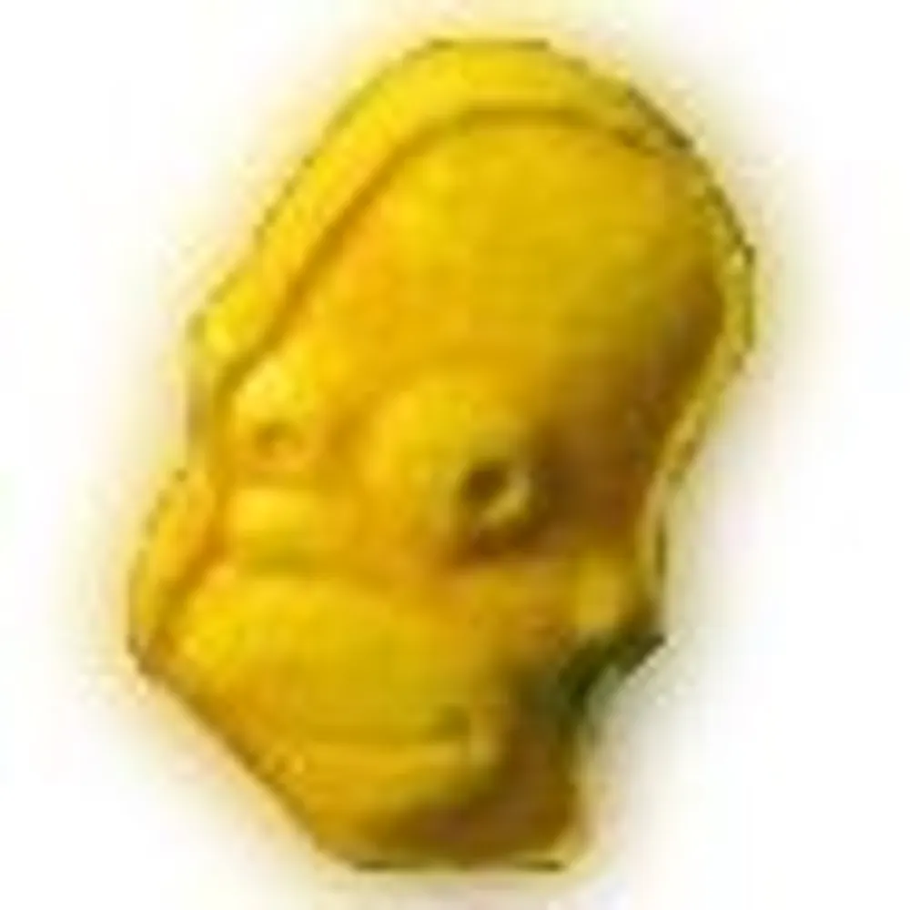 yomamajonesy.bsky.social's profile picture