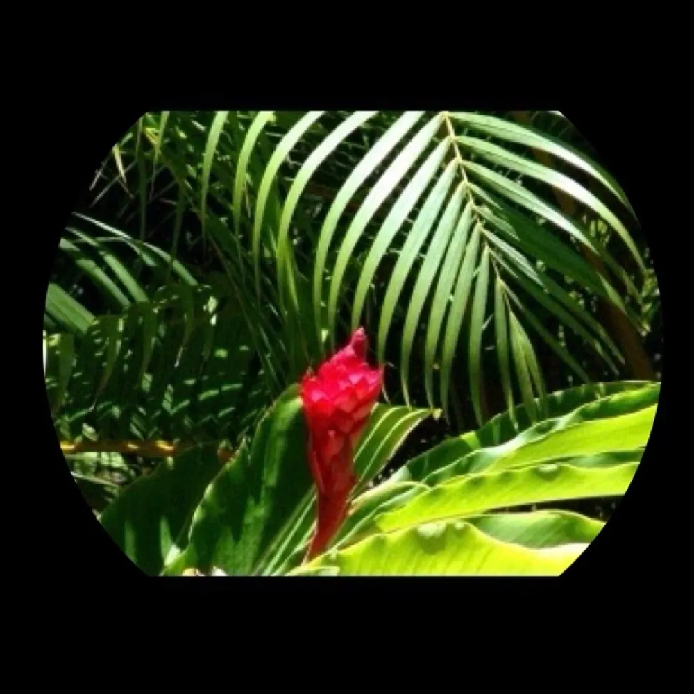 mrtruscott.bsky.social's profile picture