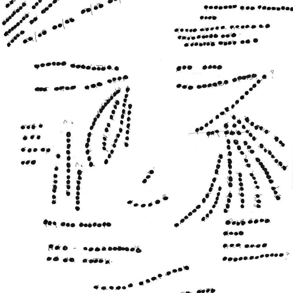 sharedground.bsky.social's profile picture