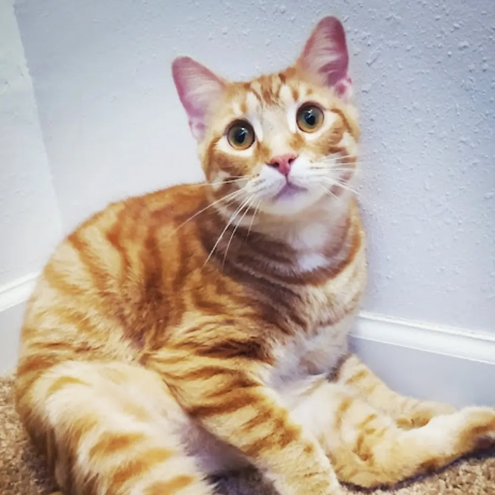 storyheadjill.bsky.social's profile picture