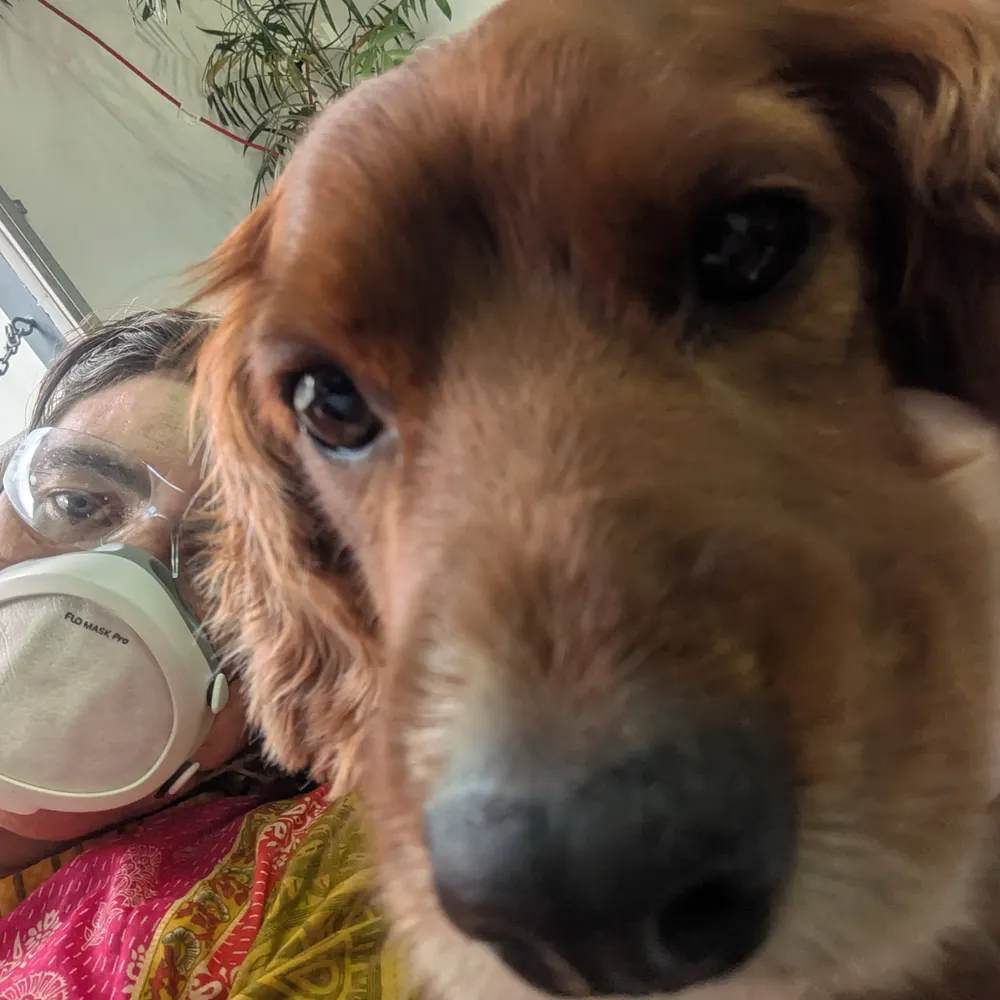 cait05.bsky.social's profile picture