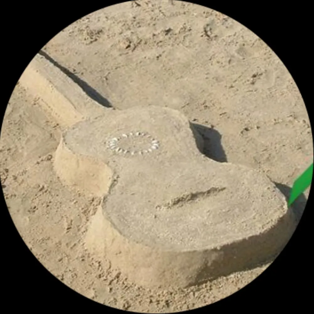 starfisher.bsky.social's profile picture