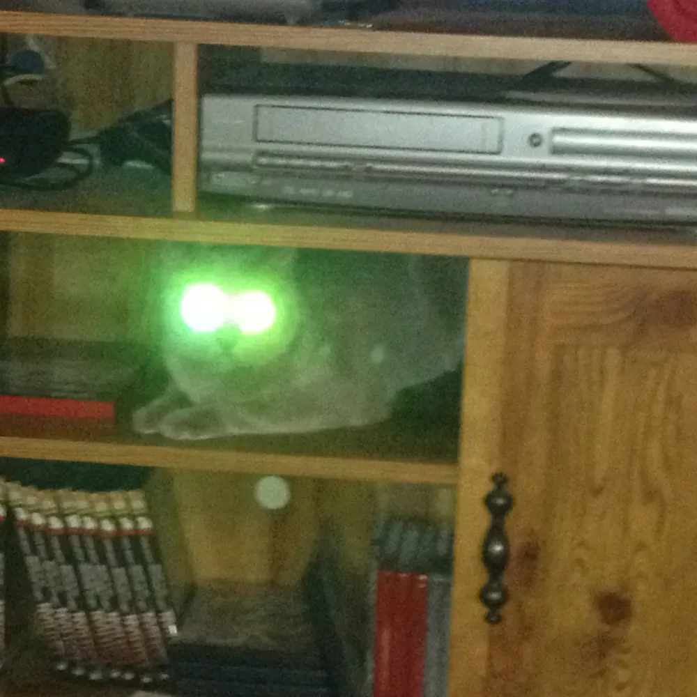 crystalsoul42.bsky.social's profile picture