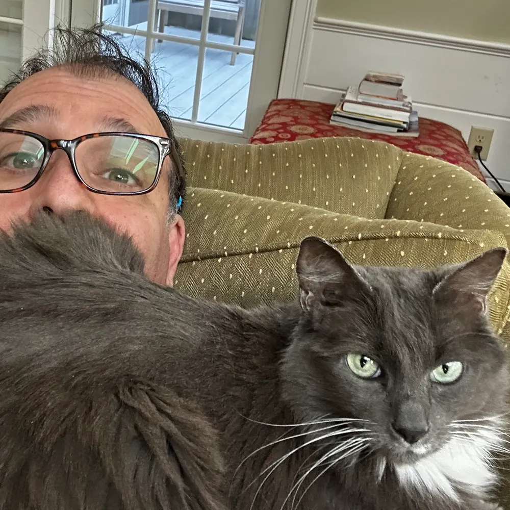 mattcurcio.bsky.social's profile picture