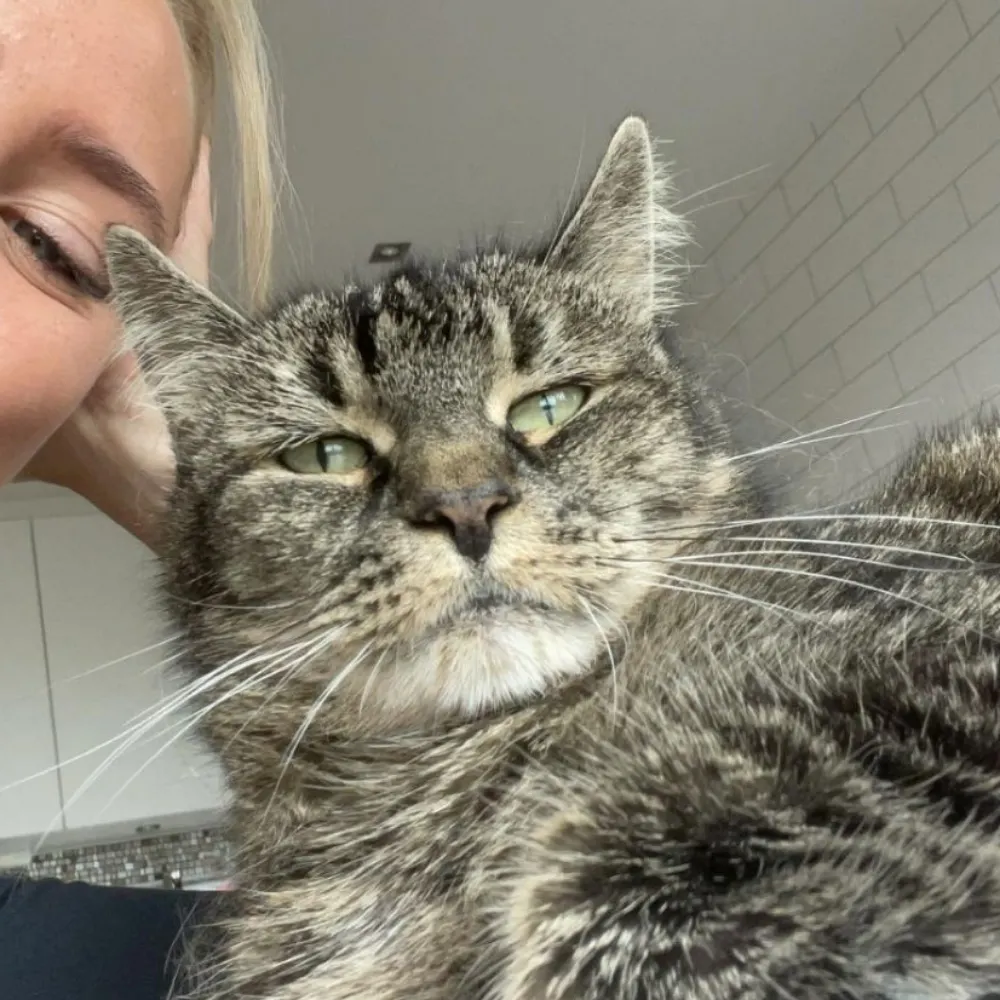 msviking.bsky.social's profile picture