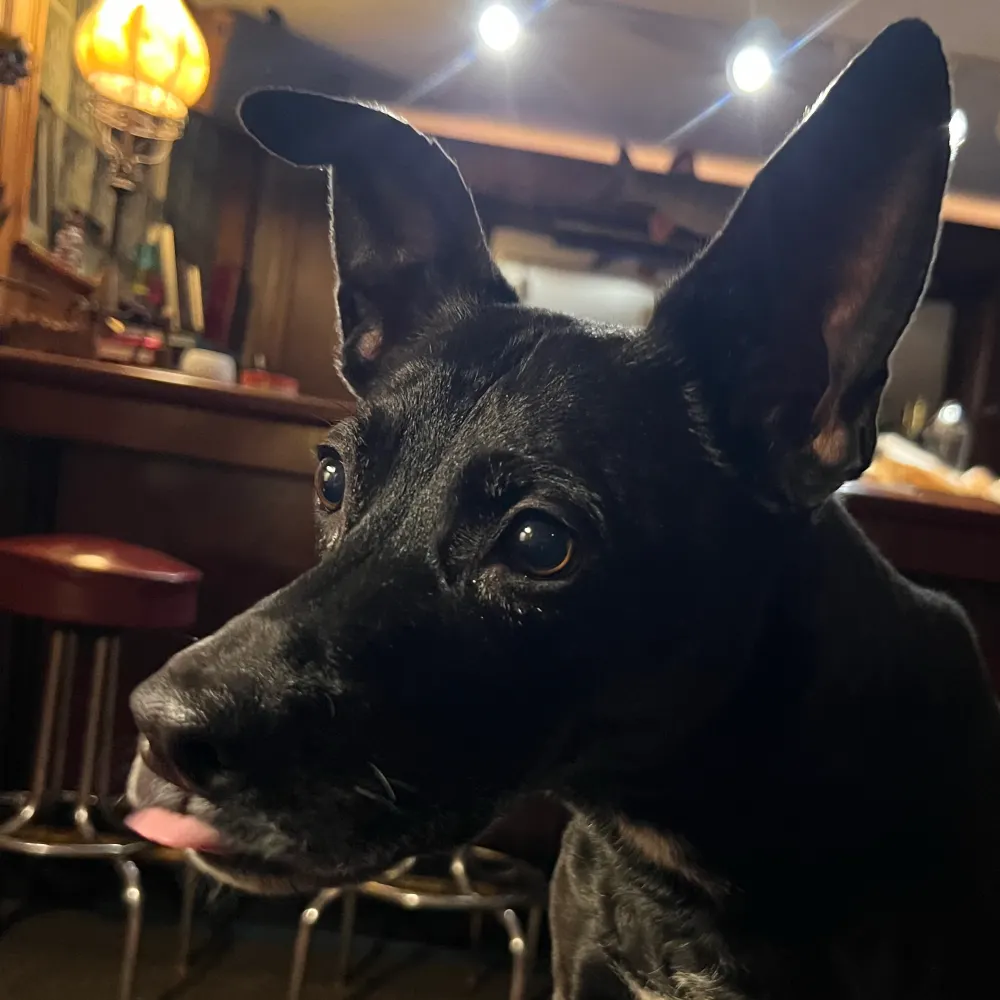 lauratfisher.bsky.social's profile picture